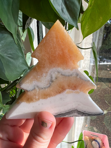 Banded Zebra/Orange Calcite Tree