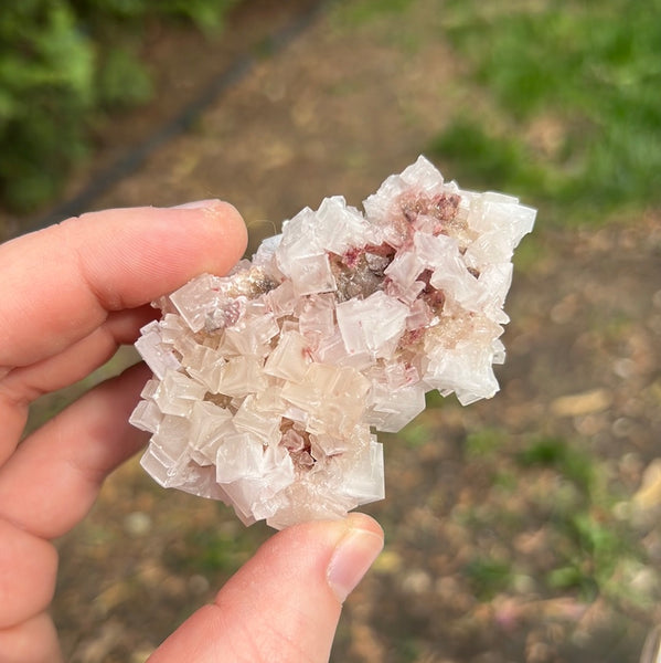 Pink Halite Specimen