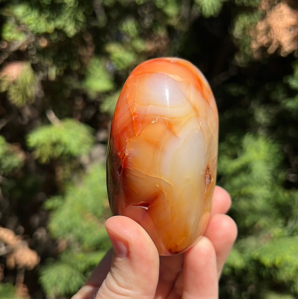 Carnelian Freeform