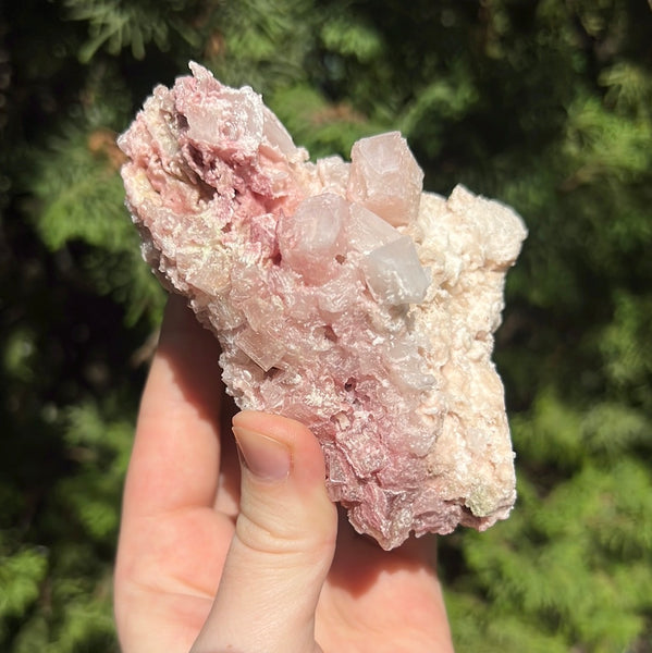 Pink Halite Specimen