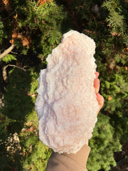 XL Pink Halite Specimen