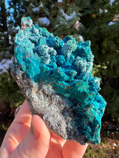 Quantum Chrysocolla Specimen