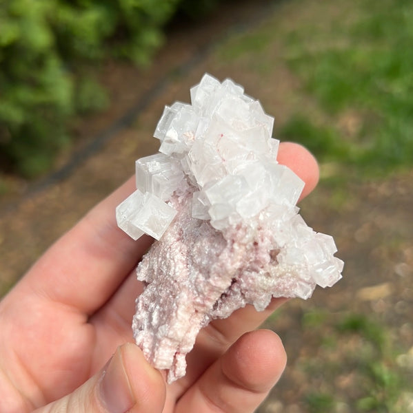 Pink Halite Specimen