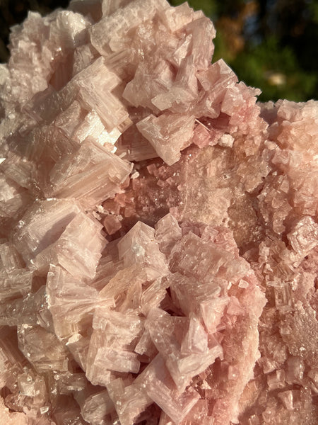 XL Pink Halite Specimen