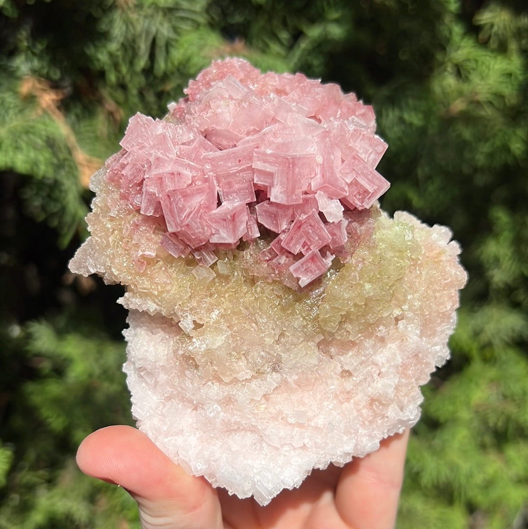 Pink Halite Specimen