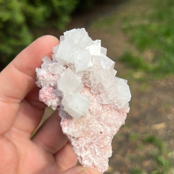 Pink Halite Specimen