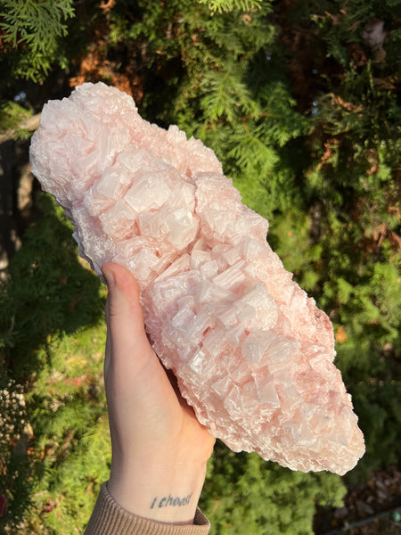 XL Pink Halite Specimen