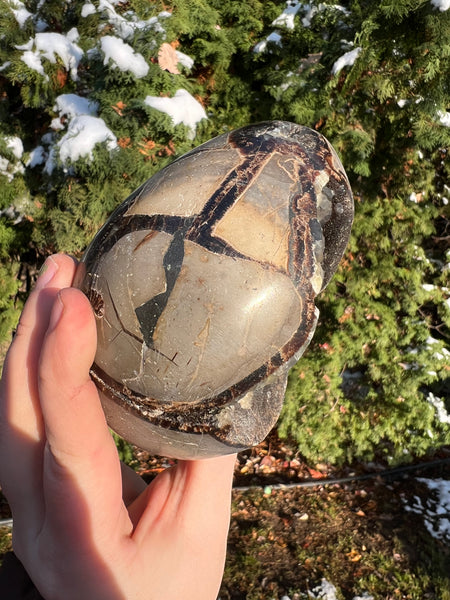 Septarian Egg