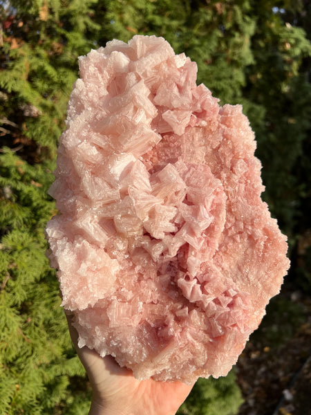 XL Pink Halite Specimen