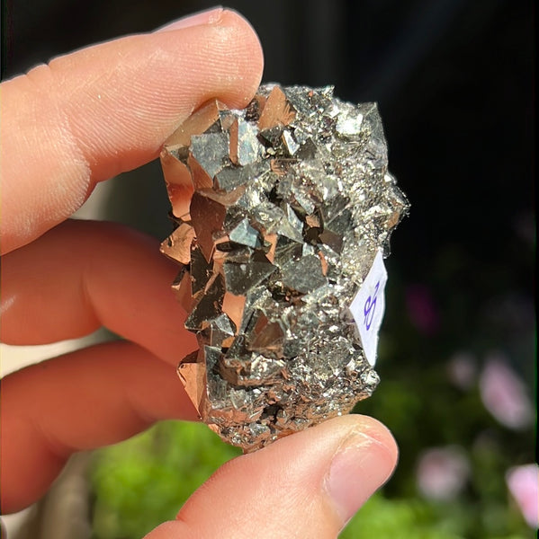 Octahedral Pyrite