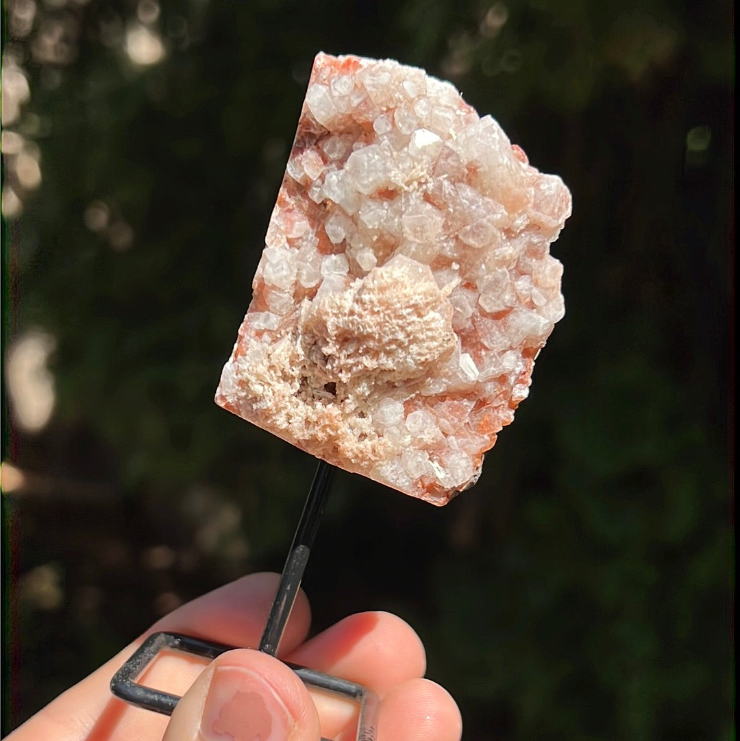 Red Apophyllite on Pin