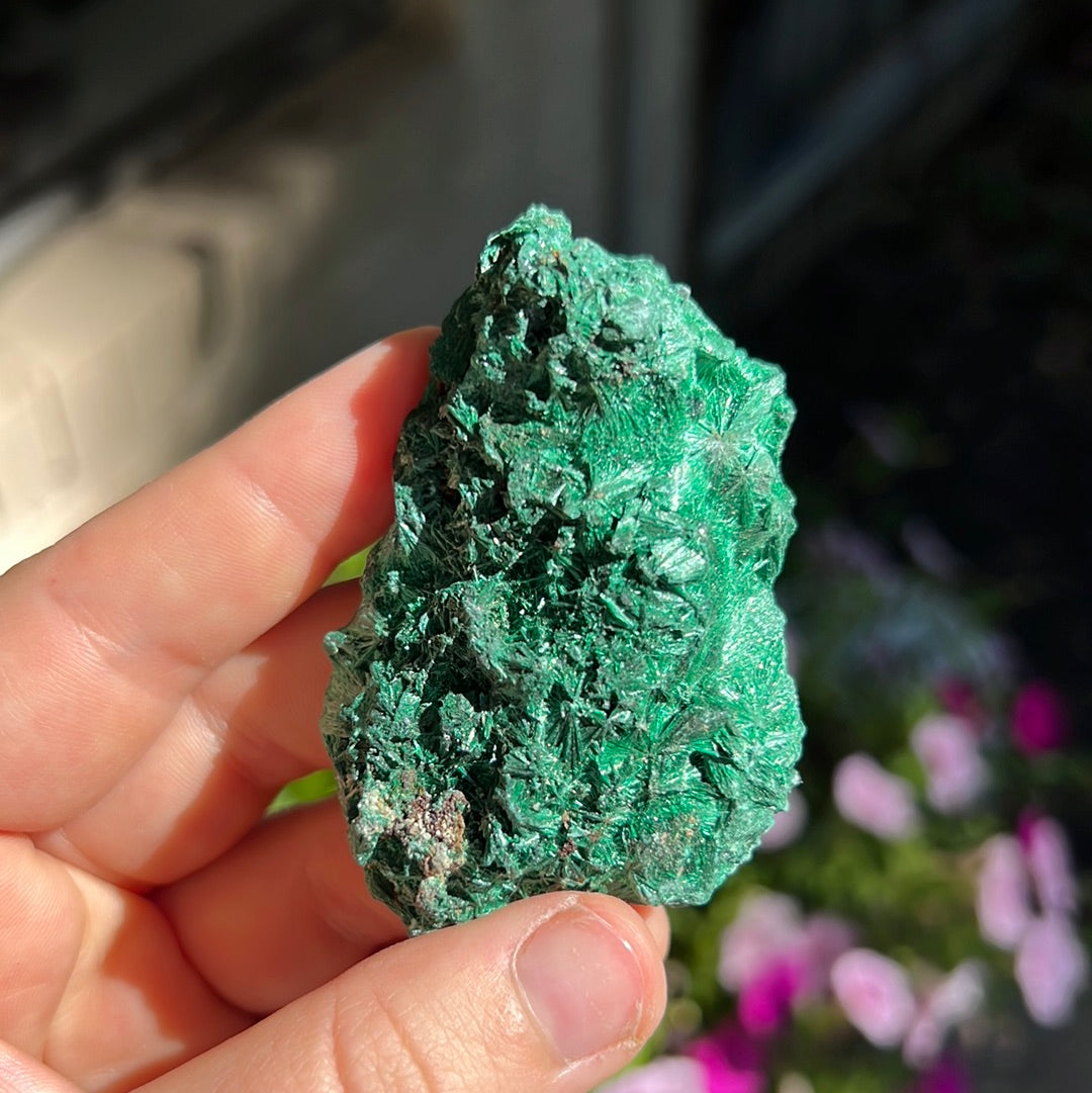 Fibrosis Malachite