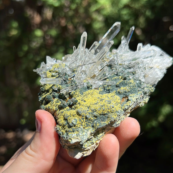 Lemurian Quartz Cluster