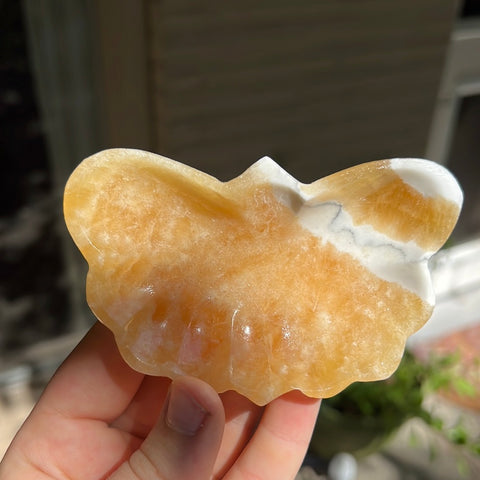 Banded Zebra/Orange Calcite Butterfly Dish