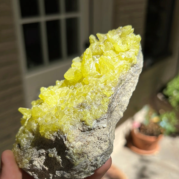 Sulfur Cluster