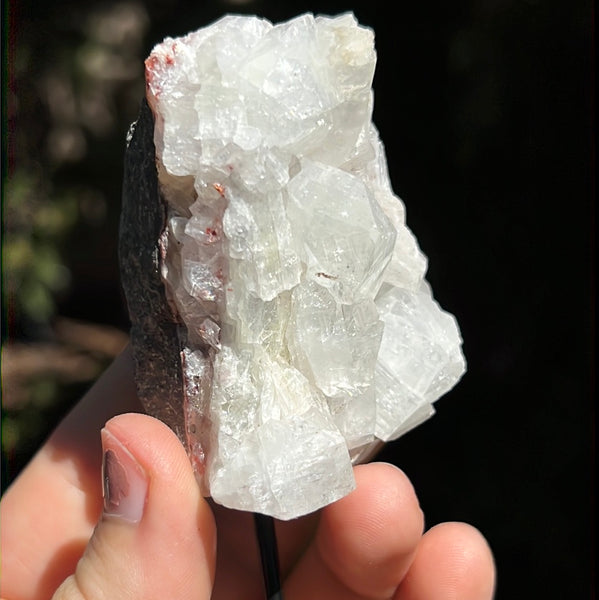 Apophyllite on Pin