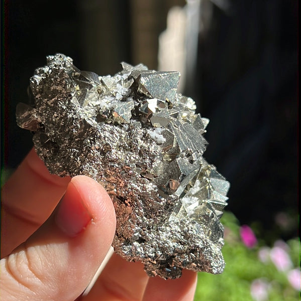 Octahedral Pyrite