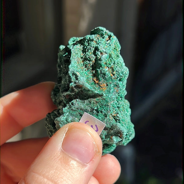 Fibrosis Malachite