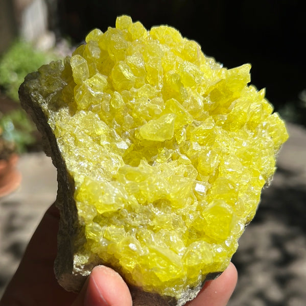 Sulfur Cluster