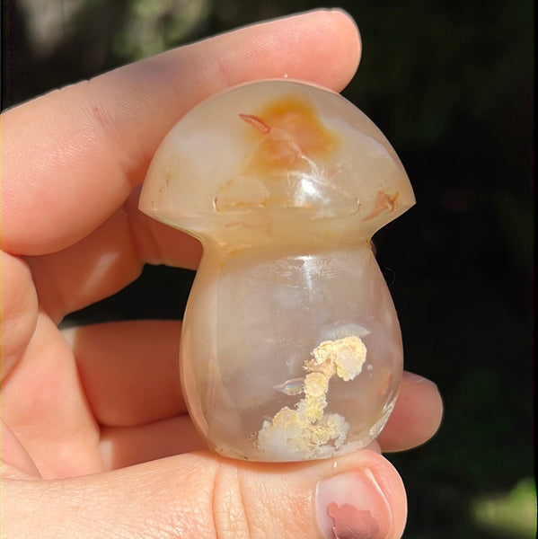 Flower Agate Mushrooms