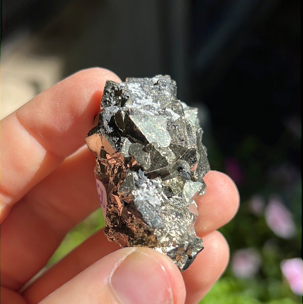 Octahedral Pyrite