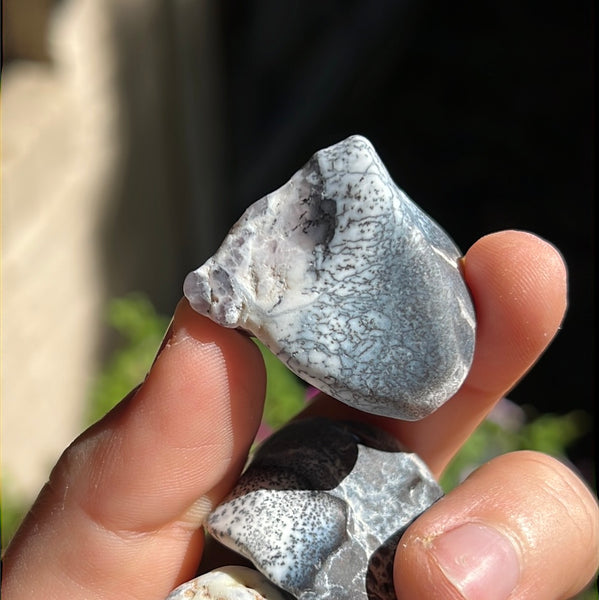 Dendritic Opal Chunks