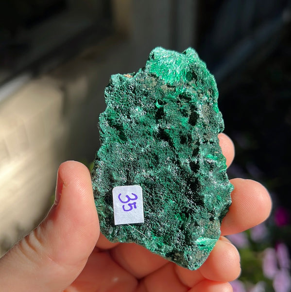 Fibrosis Malachite