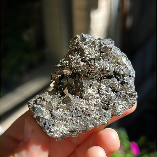 Octahedral Pyrite