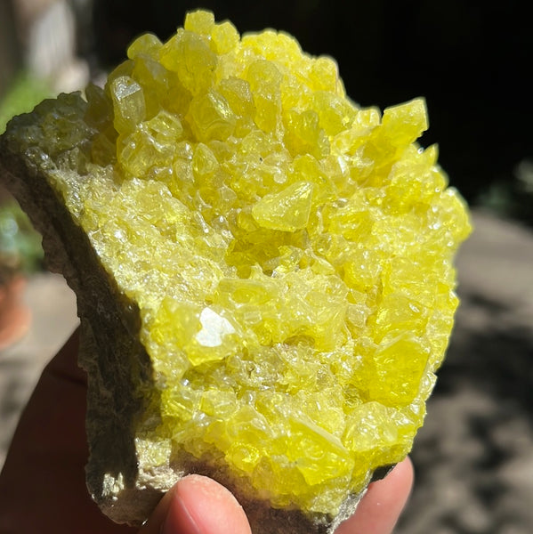 Sulfur Cluster