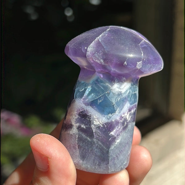 Mexican Fluorite Mushrooms (taller)