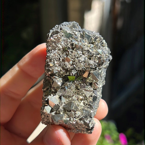 Octahedral Pyrite