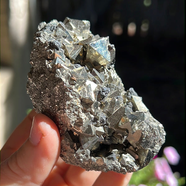 Octahedral Pyrite