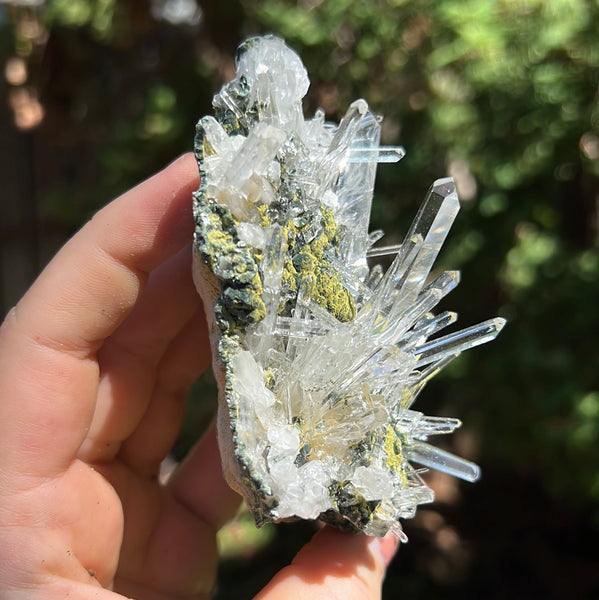 Lemurian Quartz Cluster