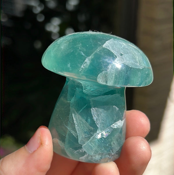 Mexican Fluorite Mushrooms