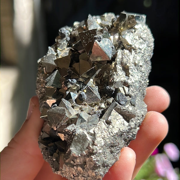 Octahedral Pyrite