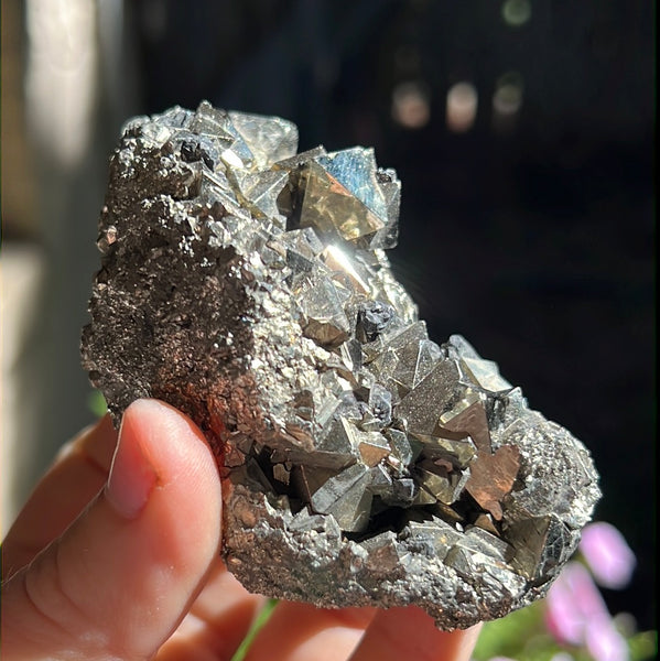 Octahedral Pyrite