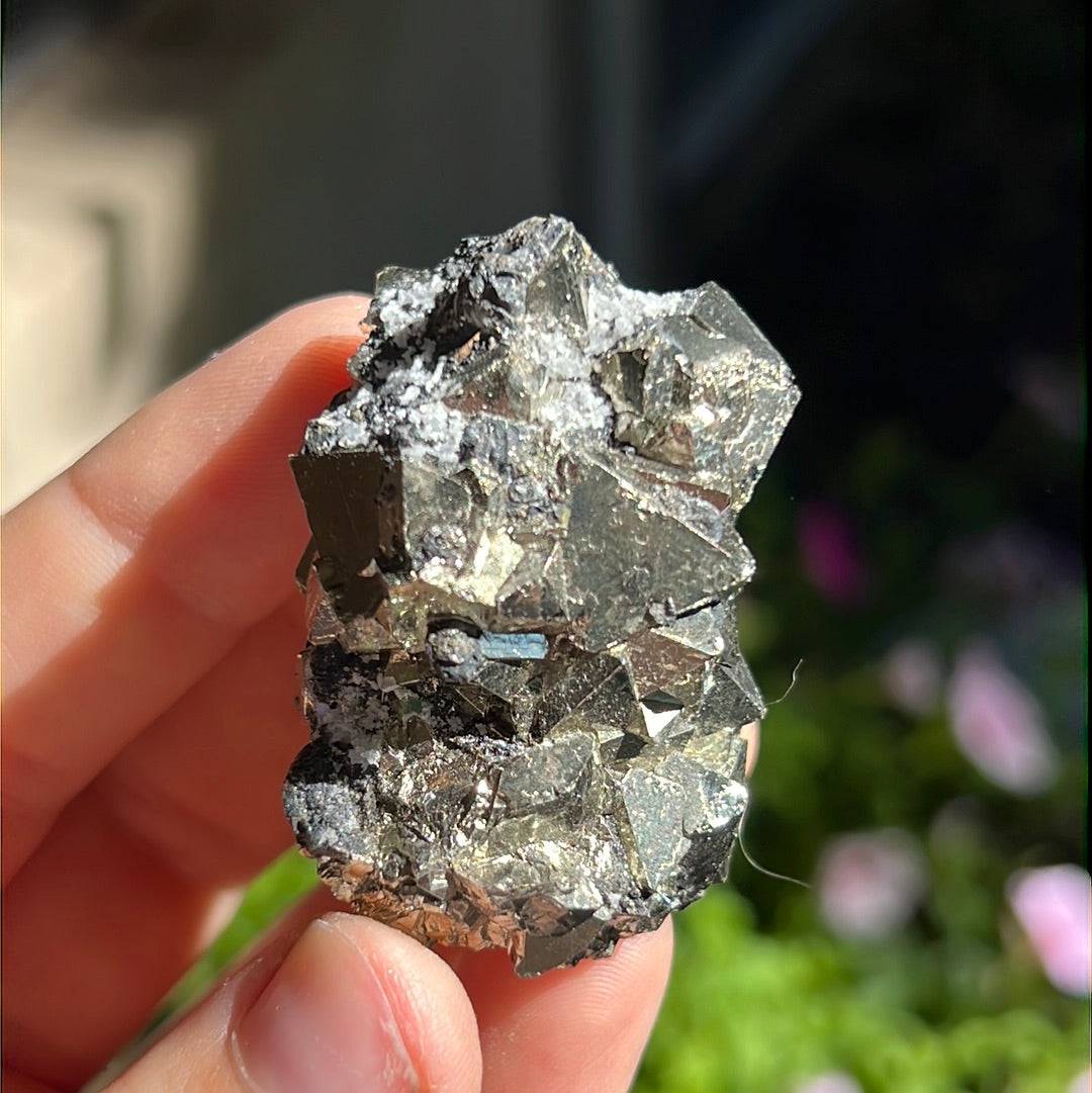 Octahedral Pyrite