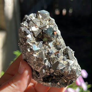 Octahedral Pyrite