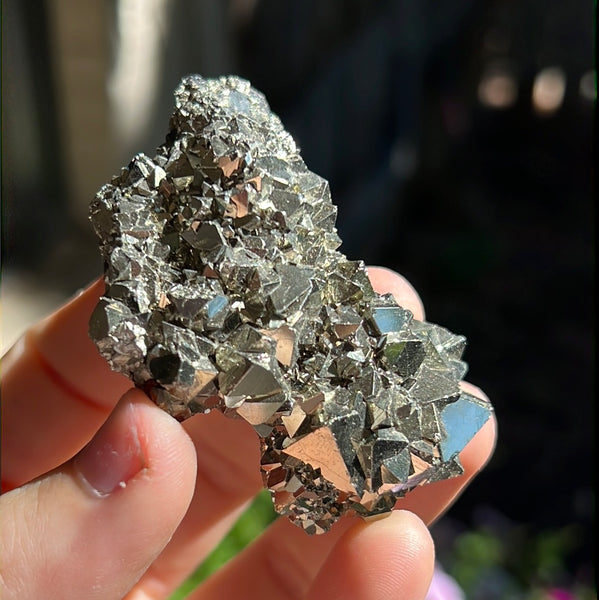 Octahedral Pyrite