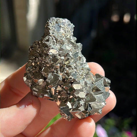 Octahedral Pyrite