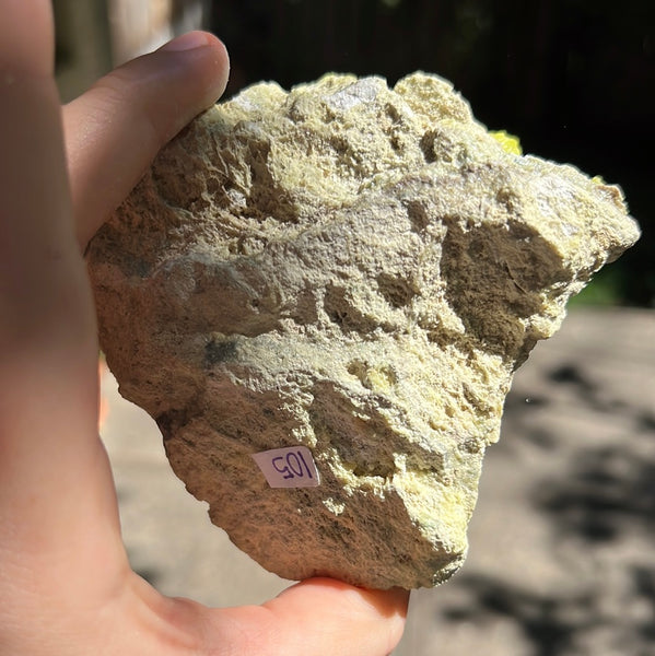 Sulfur Cluster