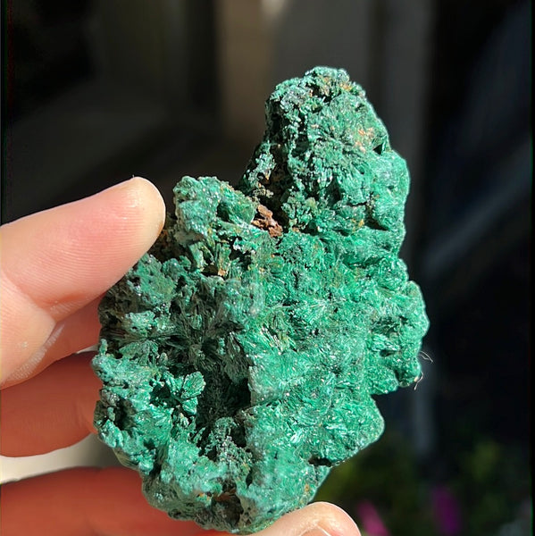 Fibrosis Malachite