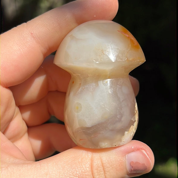 Flower Agate Mushrooms