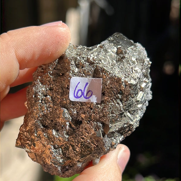 Octahedral Pyrite