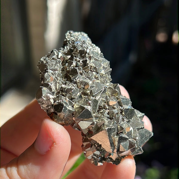 Octahedral Pyrite