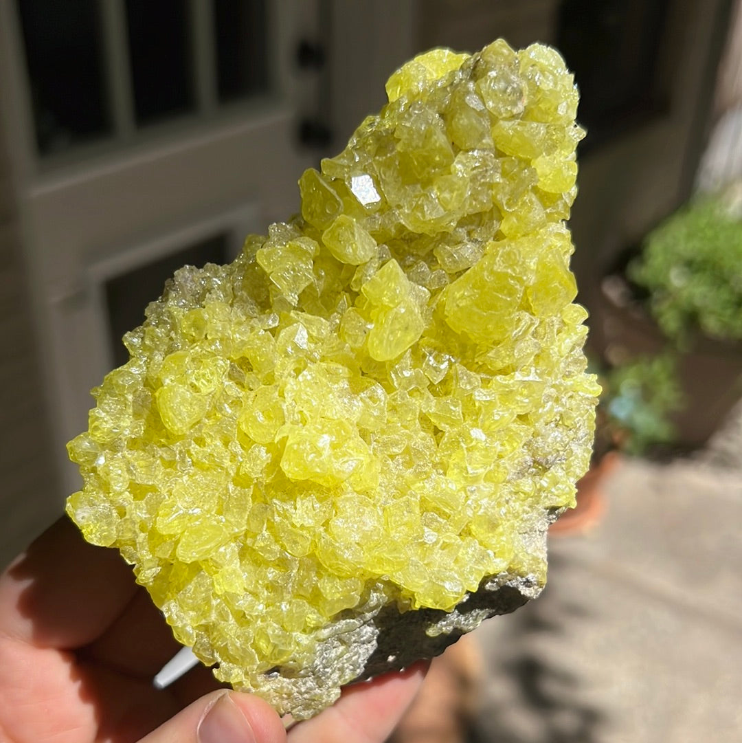 Sulfur Cluster