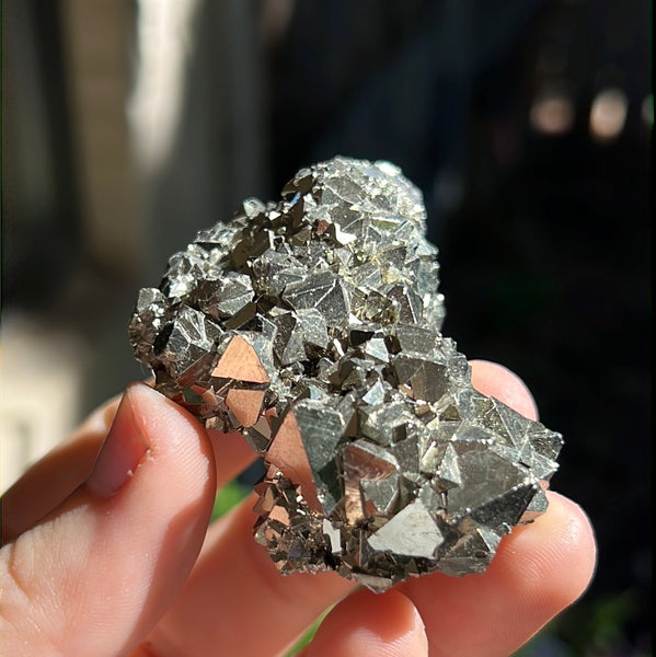 Octahedral Pyrite