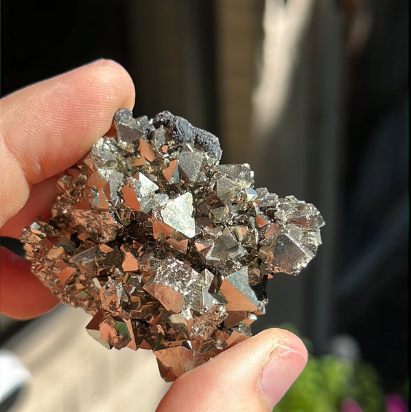 Octahedral Pyrite