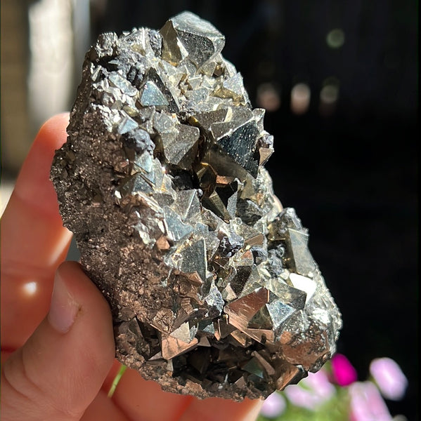 Octahedral Pyrite