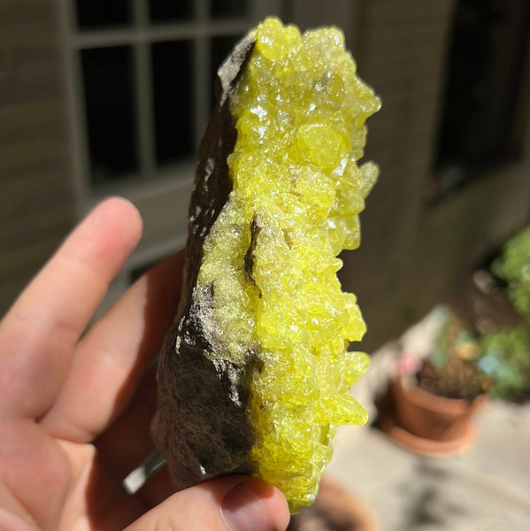 Sulfur Cluster